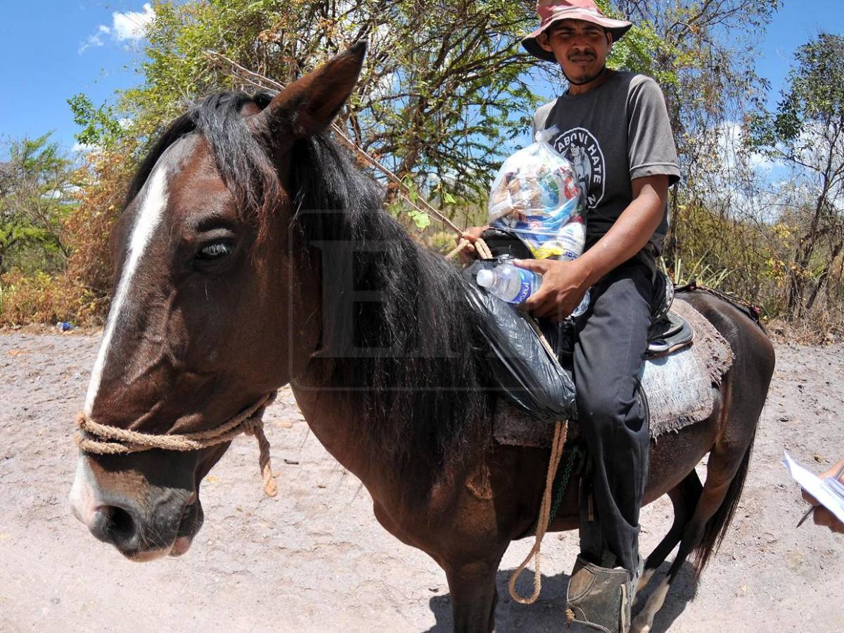 Bajo ardiente sol buscaban comida y hallaron la solidaridad de lectores de El Heraldo