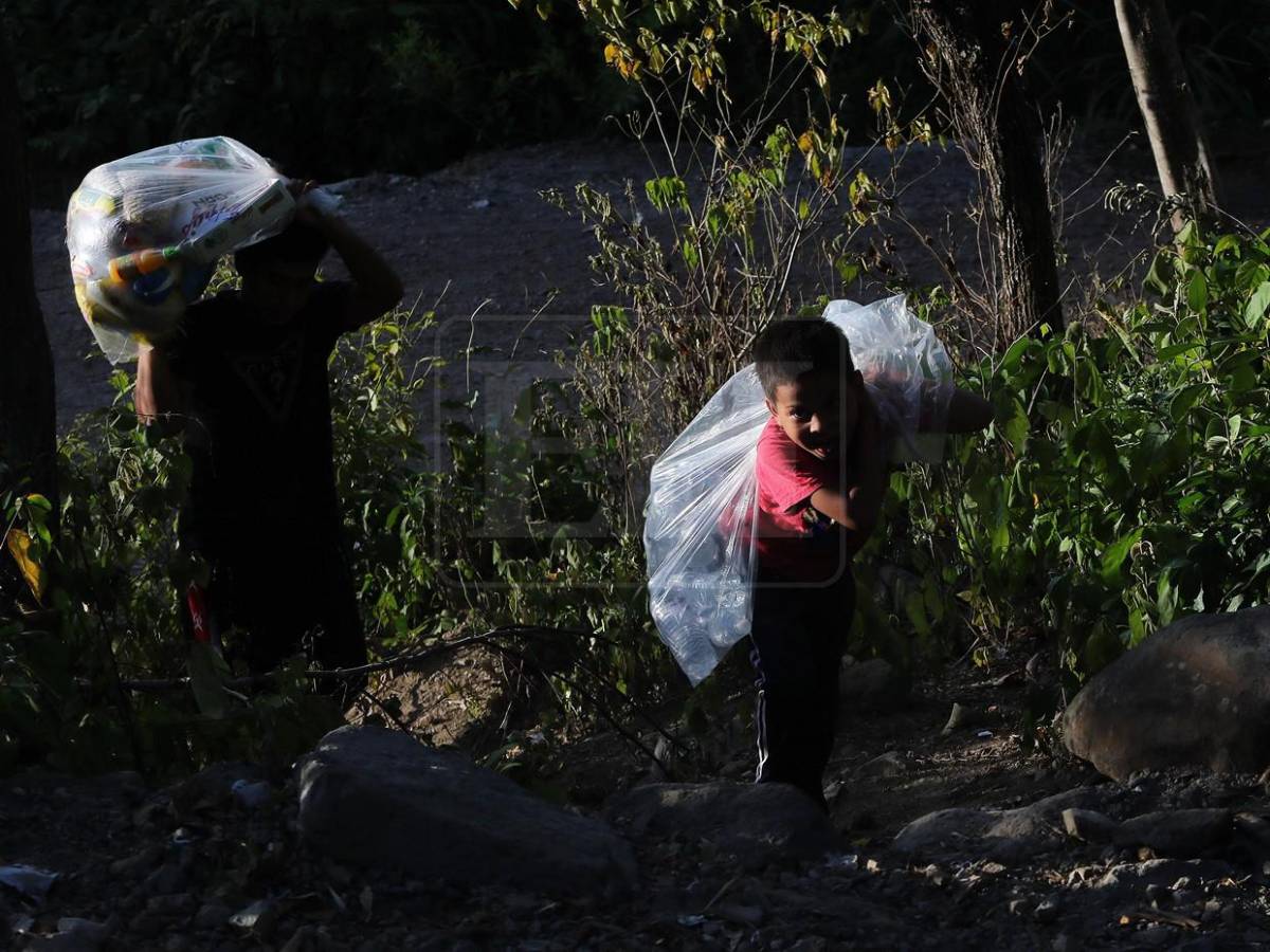 Bajo ardiente sol buscaban comida y hallaron la solidaridad de lectores de El Heraldo