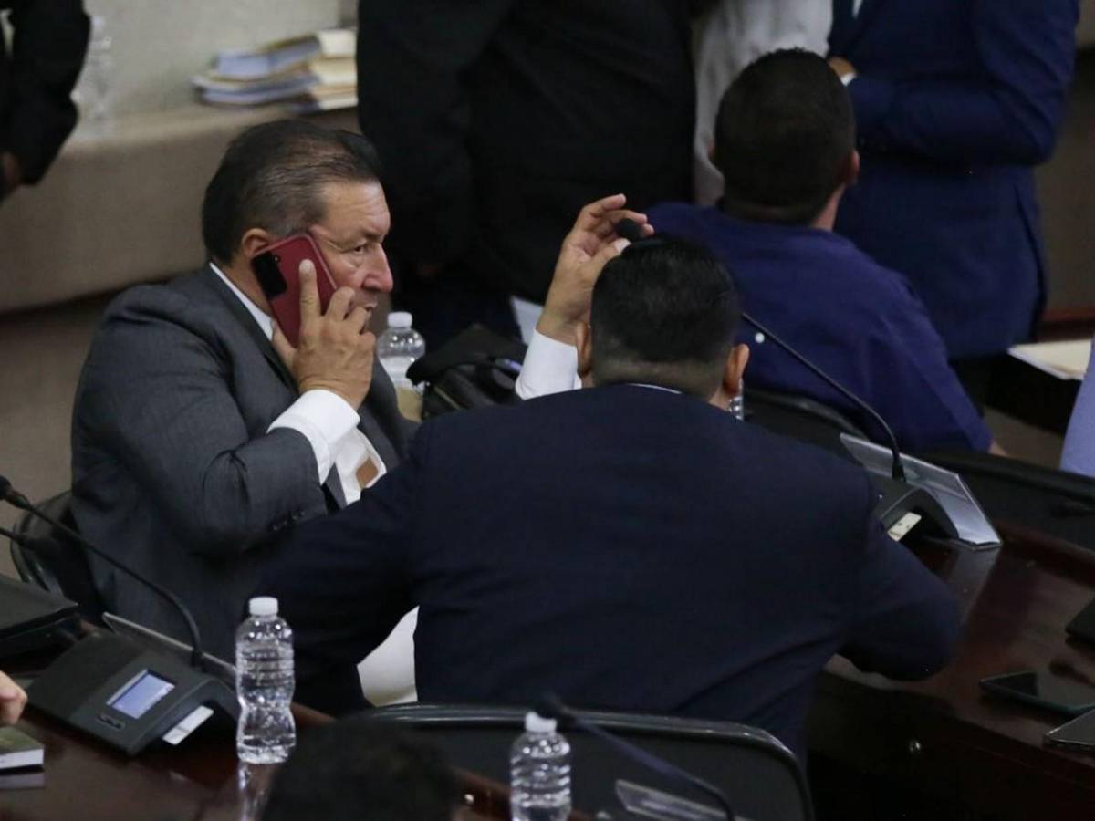 Atentos al celular, al “chismecito” y al café: diputados en plena sesión parlamentaria