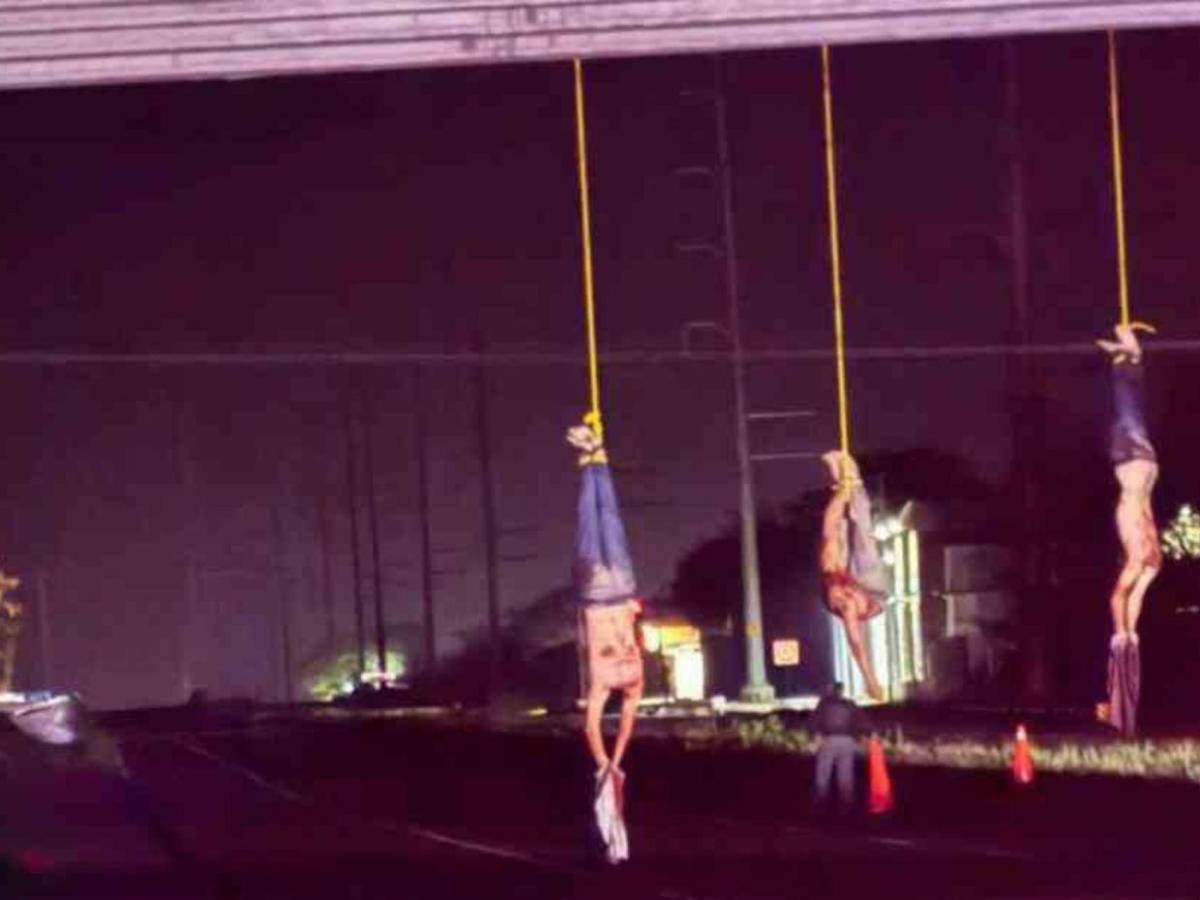 Con heridas de bala y hasta decapitados: el hallazgo de 20 cadáveres en Sinaloa