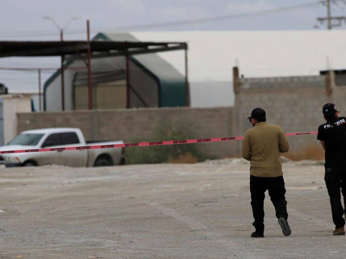 Olores fétidos y 381 cuerpos a medio embalsamar: el dantesco hallazgo en Ciudad Juárez