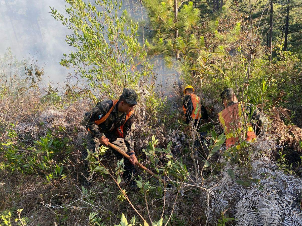 ¡Arde en llamas Triquilapa! El fuego devora uno de los pulmones de Tegucigalpa