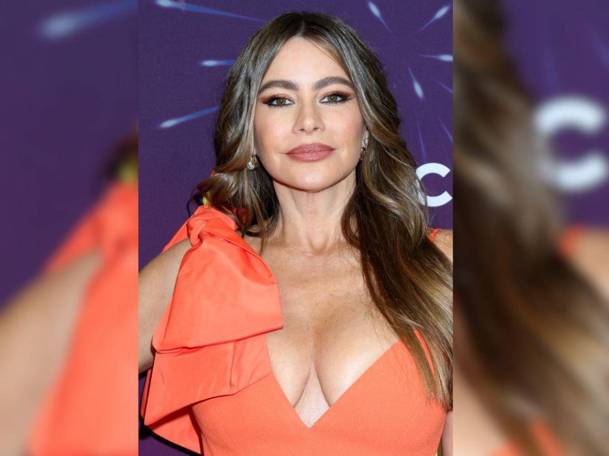 Sofía Vergara asegura que el amor debe de ir acompañado del dinero