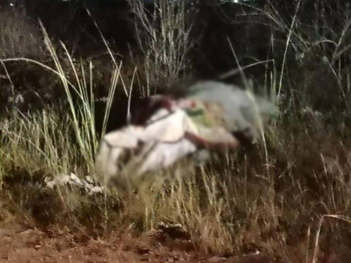 Fue encontrado en un basurero: lo que se sabe de Miguel Salgado, médico asesinado en la capital