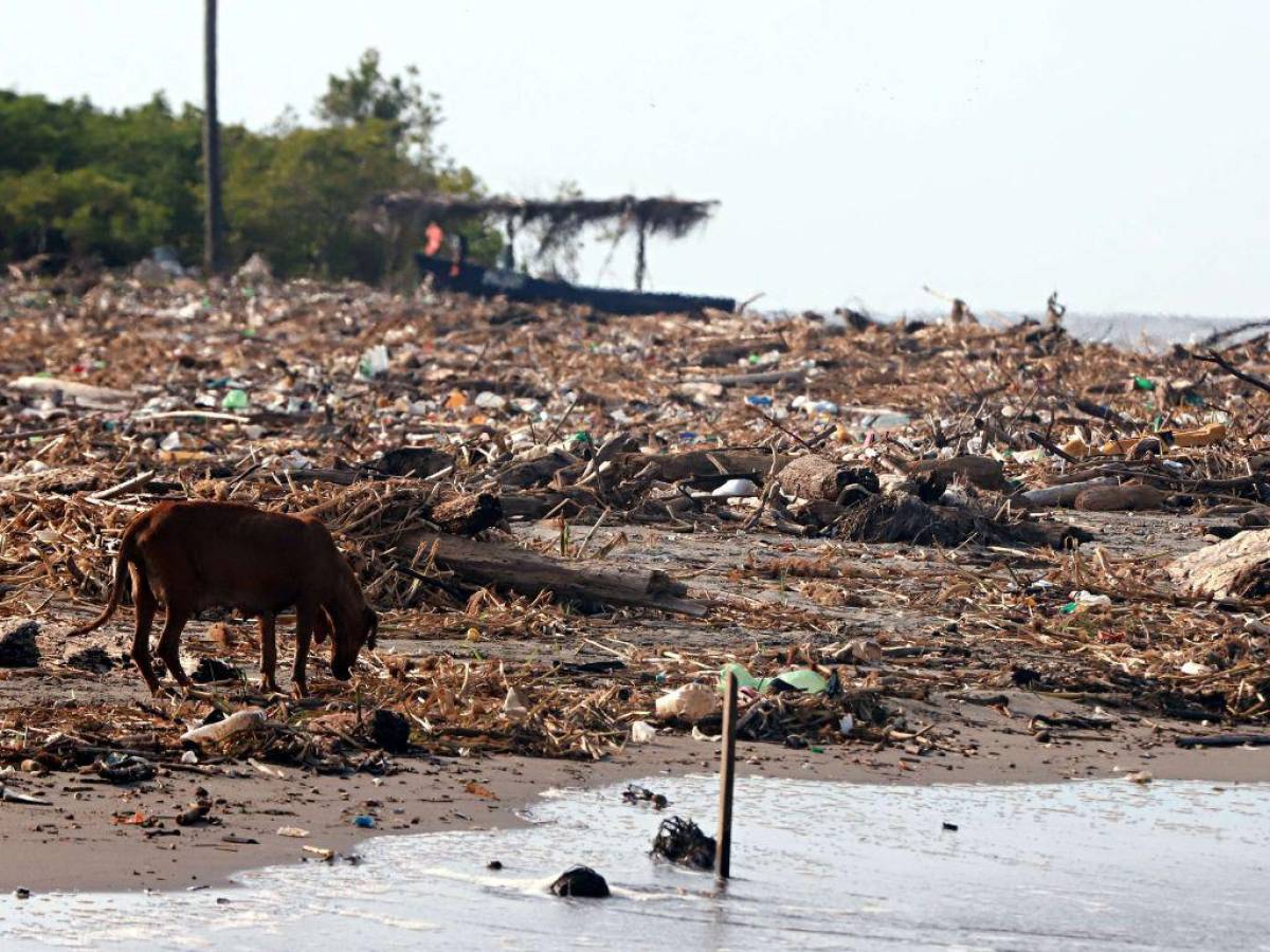 Hasta Trujillo está llegando la basura del río Motagua