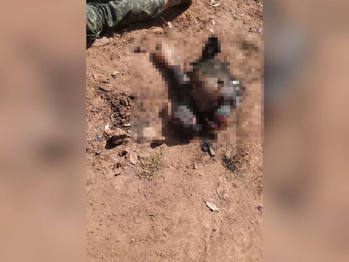 Desmembrados y a disparos: así mataron a cinco integrantes del Cartel del Diablo en Sulaco