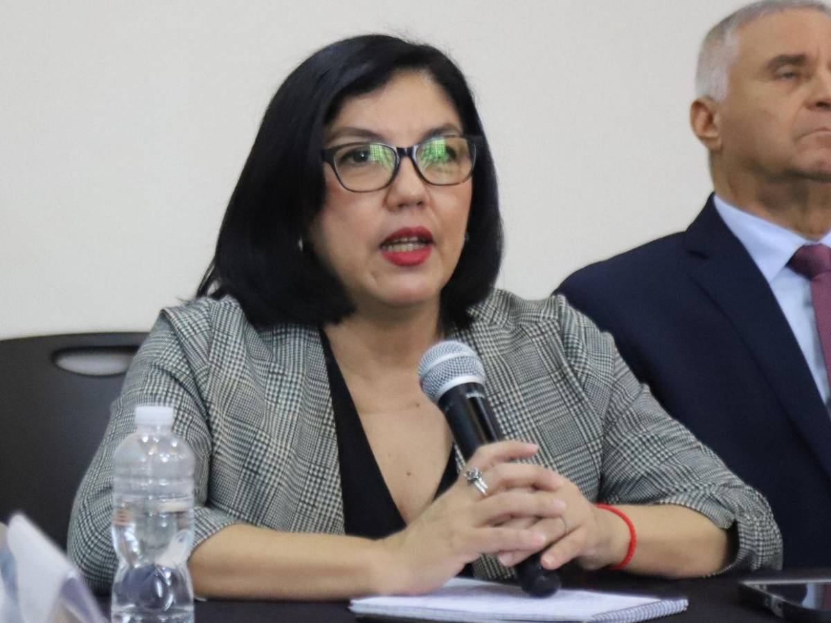 ¿Quiénes son los diputados de la comisión que investigará la renuncia de Ana Paola Hall?