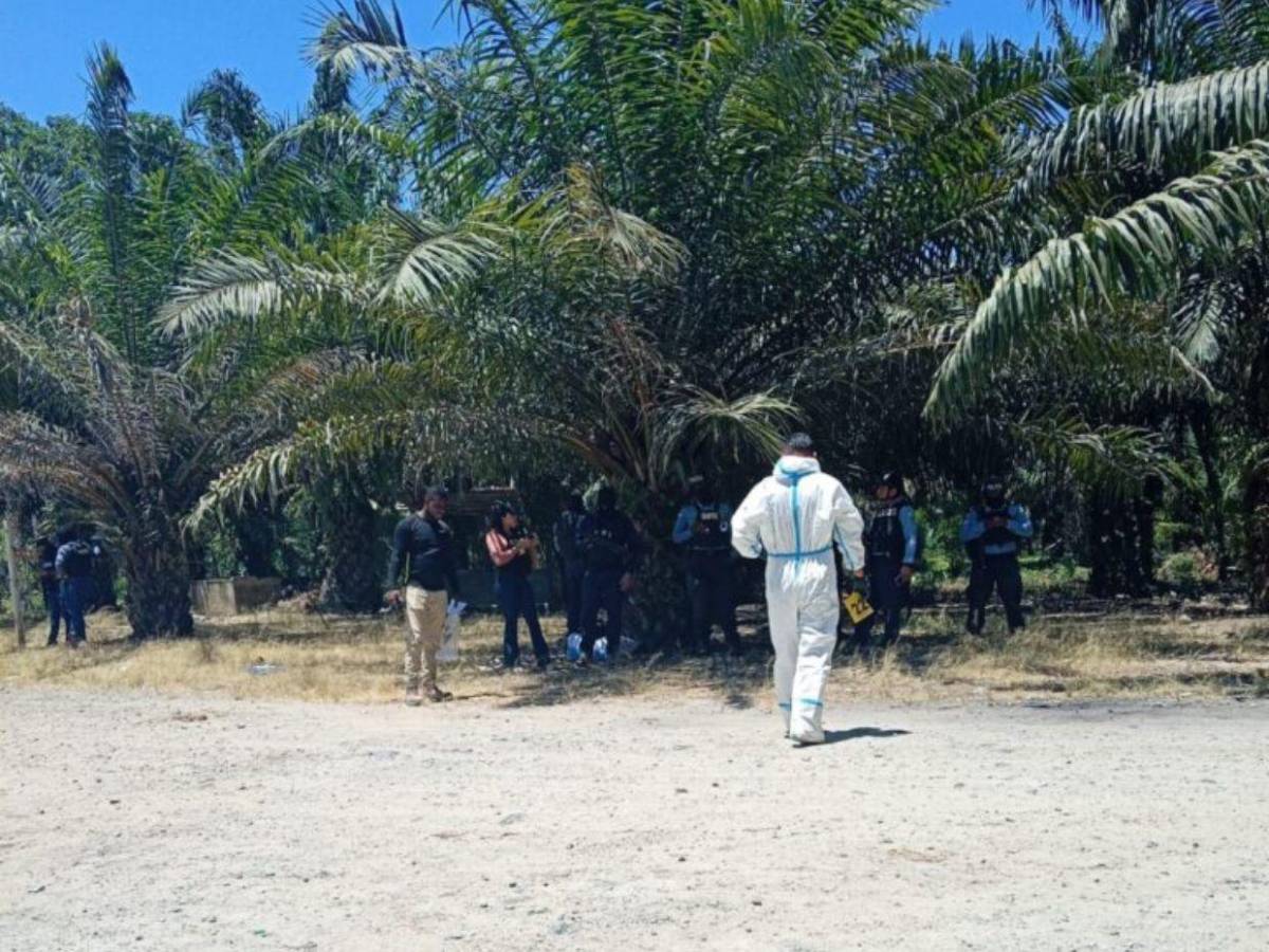 “Esa palma pareciera estar maldita”: relato de vecino tras brutal masacre en Colón