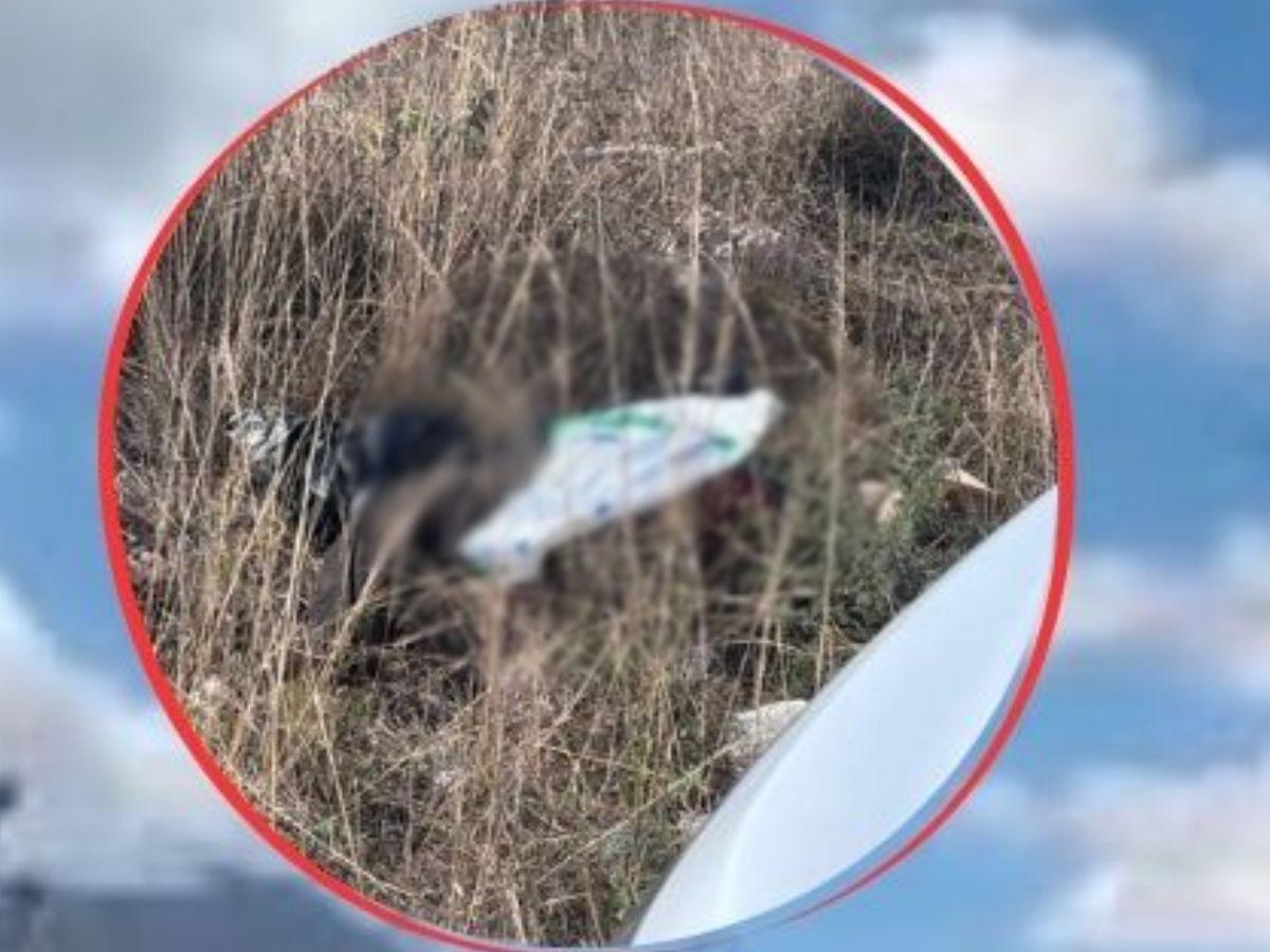 Semiembolsado y entre los matorrales: Así hallaron el cuerpo de Cristopher Cerrato