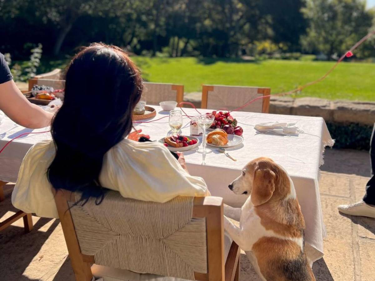 Meghan Markle busca a su padre en hospitales tras amputación: No tengo su número