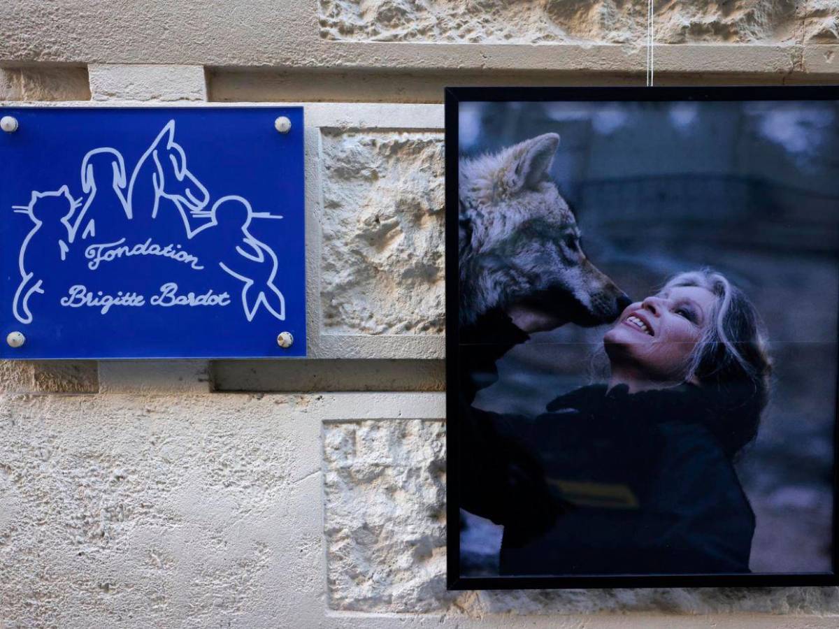 Brigitte Bardot: la promesa a su hijo Nicolas-Jacques antes de morir tras décadas de distanciamiento