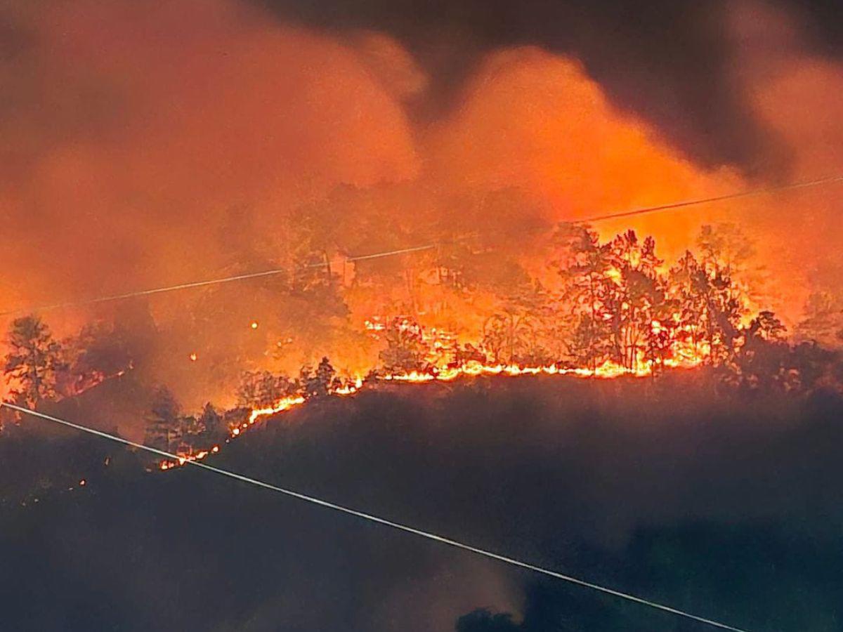 Incendio forestal en el sector de La Mina, en Villanueva, Cortés