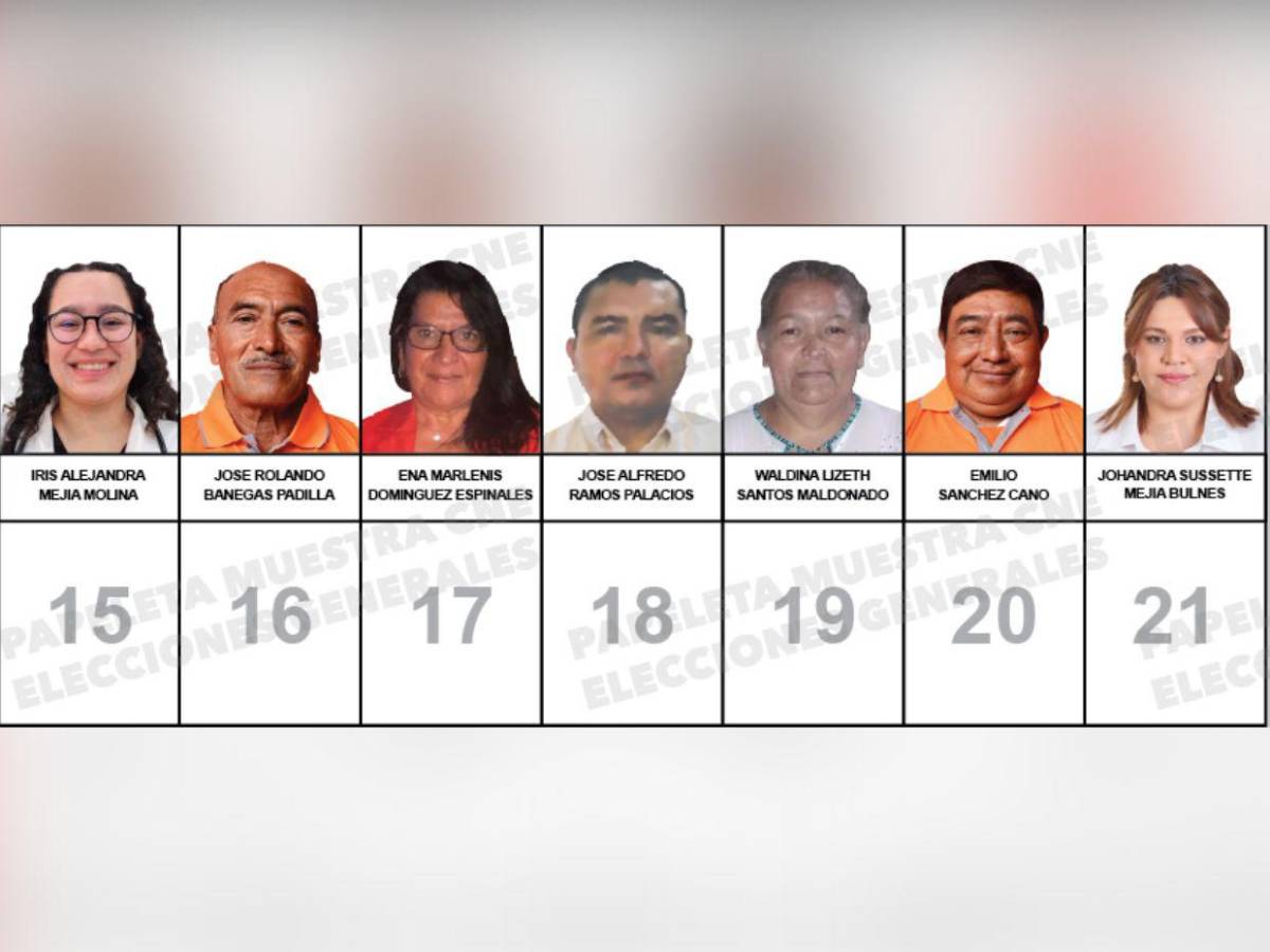 ¿Quiénes son los candidatos a diputados por el PINU-SD, de Nelson Ávila?