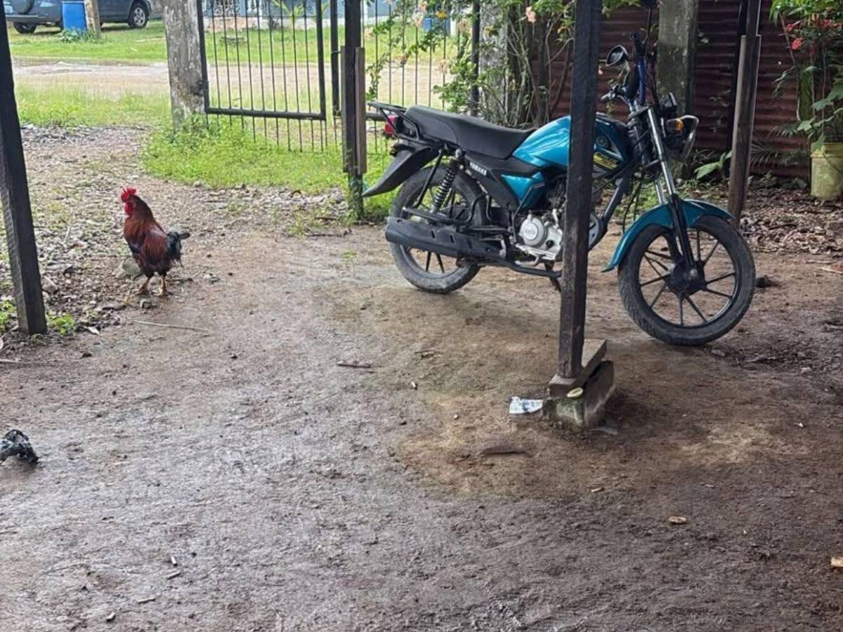 Víctor Escobar mató a su propio hermano y luego se llevó a su hijo; está prófugo en Puerto Cortés