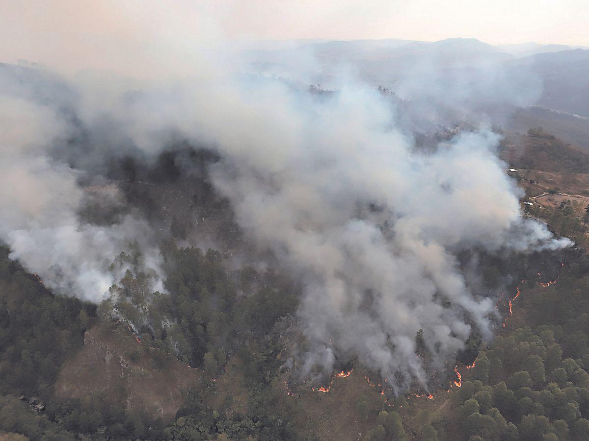 Incendios ya han devorado 38,998 hectáreas; abril será un mes crítico