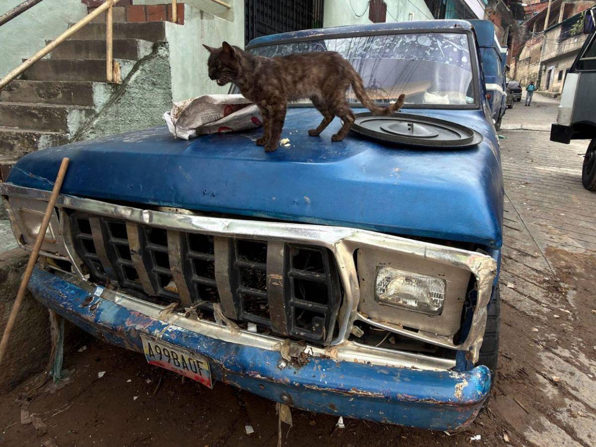 FOTOS: Personas desaparecidas y viviendas afectadas por las lluvias en Caracas, Venezuela