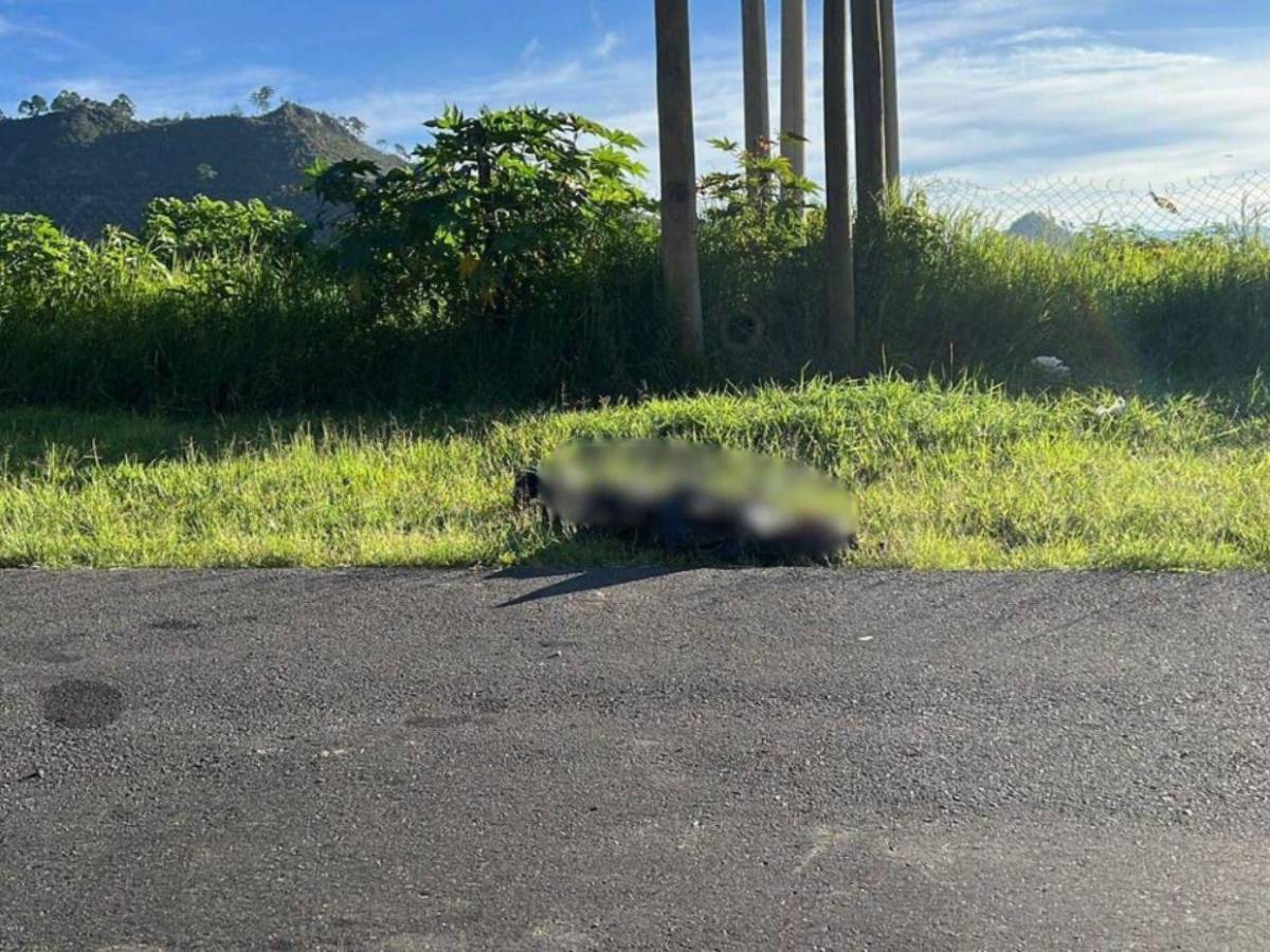 Tenía mutilaciones en el rostro: lo que se sabe del hombre embolsado en la CA-5