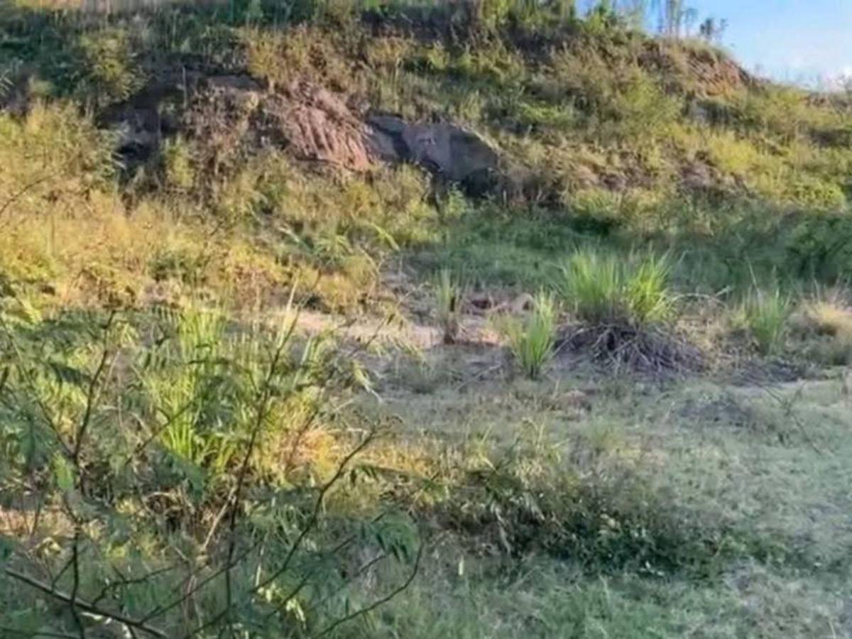 ¿Un crimen pasional? Esta es la hipótesis que se maneja sobre la muerte de Gladys Yaqueline