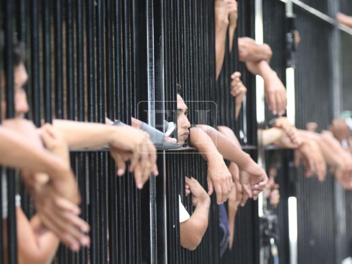 Sin piedad, juzgados como terroristas: las duras reformas aprobadas contra maras y pandillas