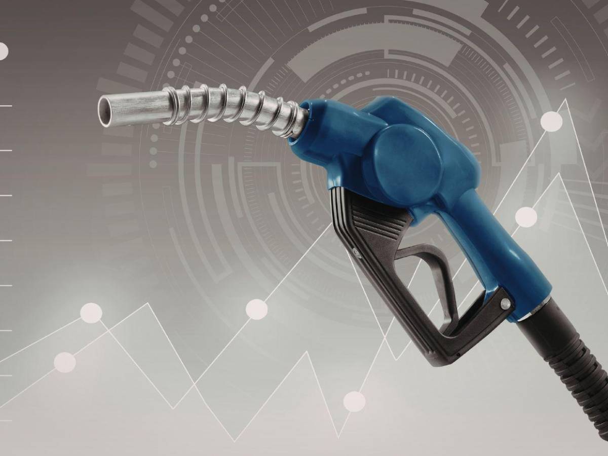 Además de teletrabajo ¿Cómo pueden los consumidores ahorrar combustible?, esto dice la AHDIPPE?