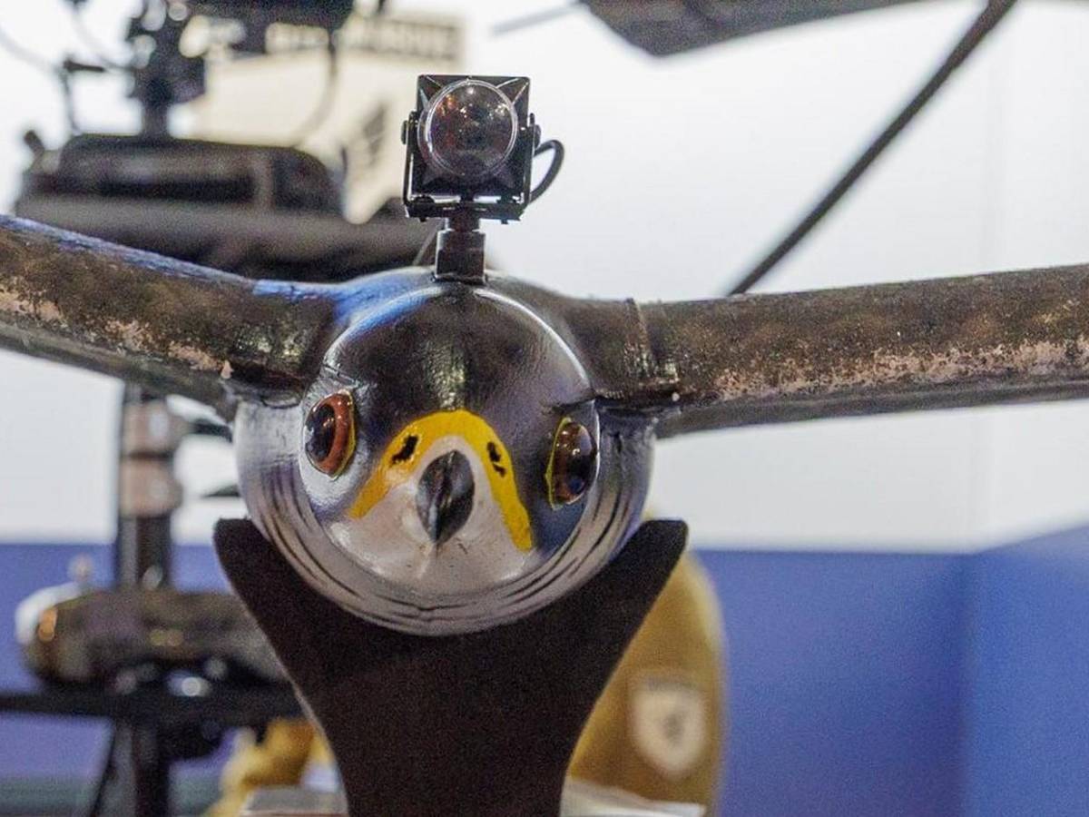 Seagull Evo, avanzado dron de vigilancia que imita el vuelo de una gaviota real