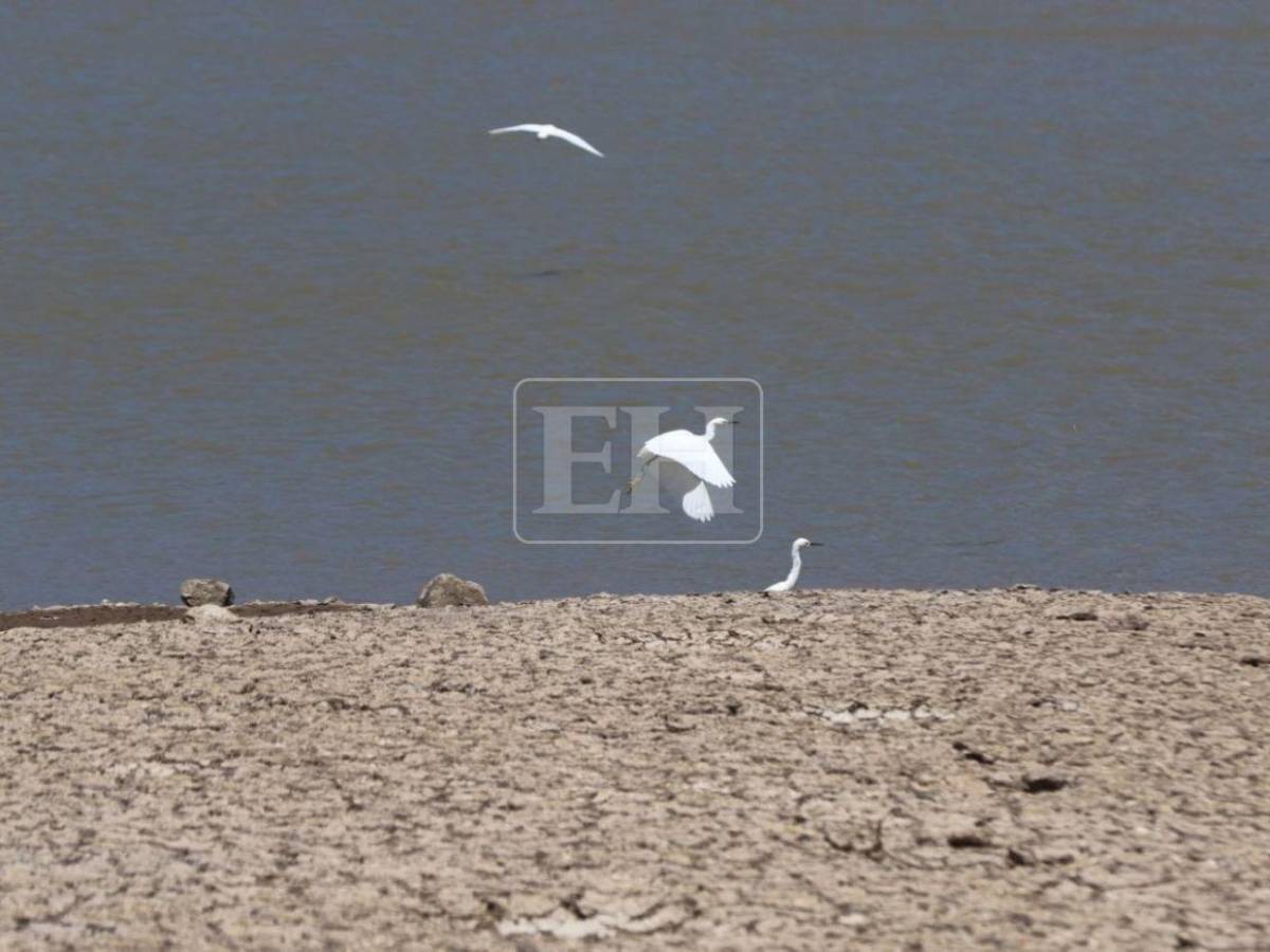 Impactantes imágenes de represa La Concepción; es cuestión de horas para que llegue a su nivel crítico