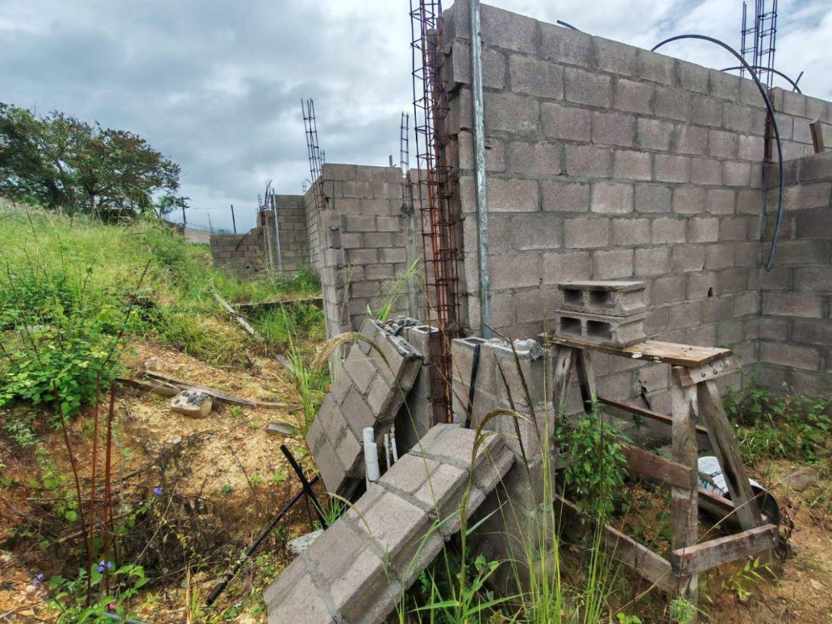 Maleza y abandono rodean el proyecto Villa Solidaridad en el Distrito Central