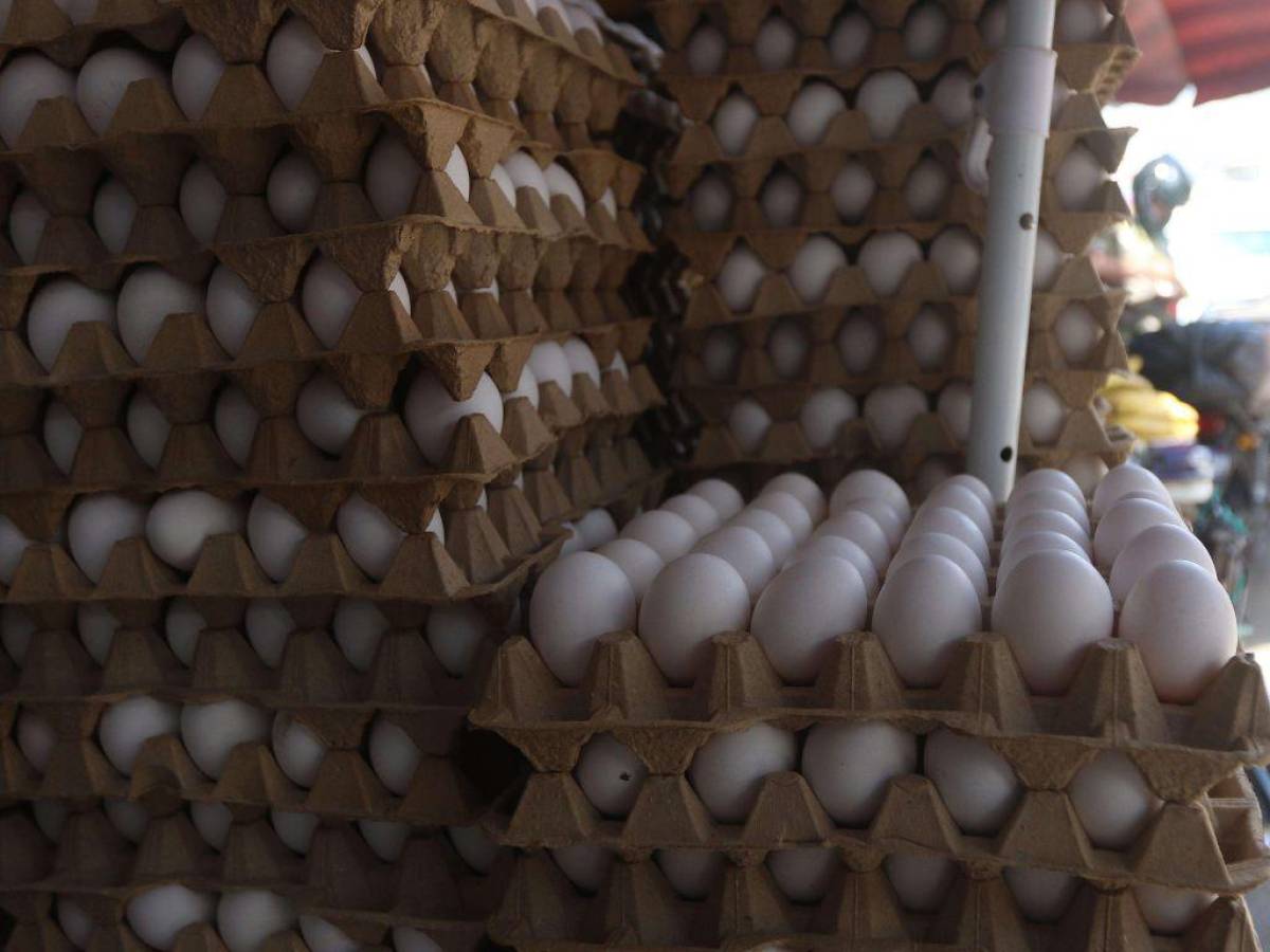 Comprar huevos a buen precio es una tarea difícil debido a que estos andan arriba de los L 100.00.