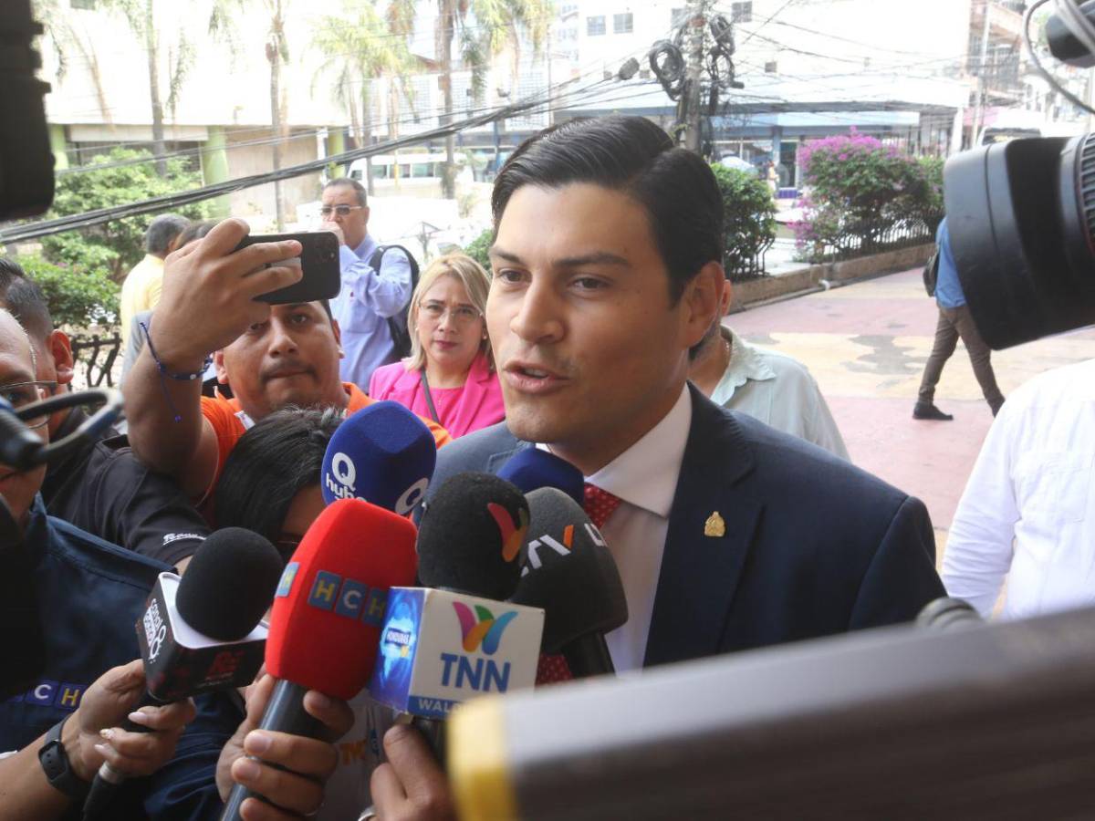 Marlon Ochoa comparece ante la comisión especial del Congreso Nacional Marlon Ochoa comparece ante la comisión especial del Congreso Nacional