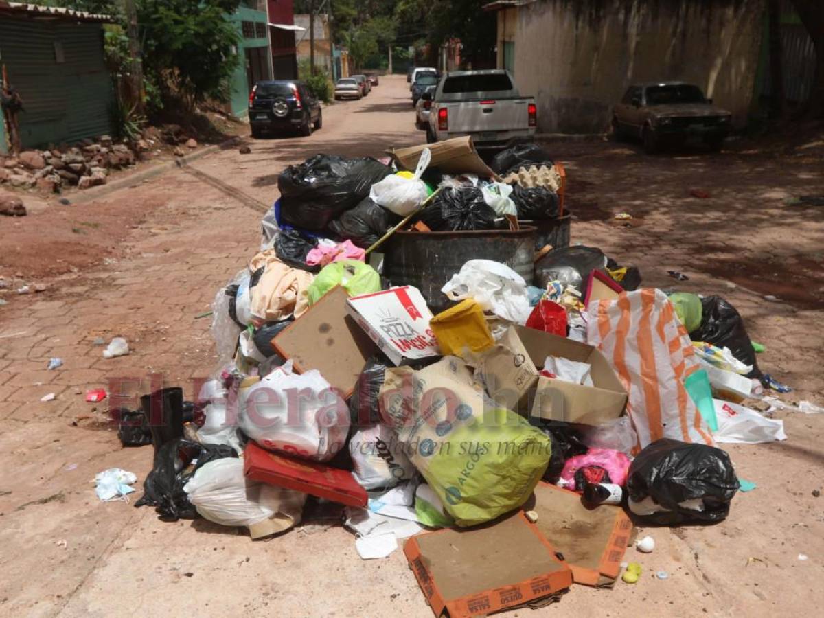 ¿Cómo solicitar un contenedor de basura para mi barrio o colonia?