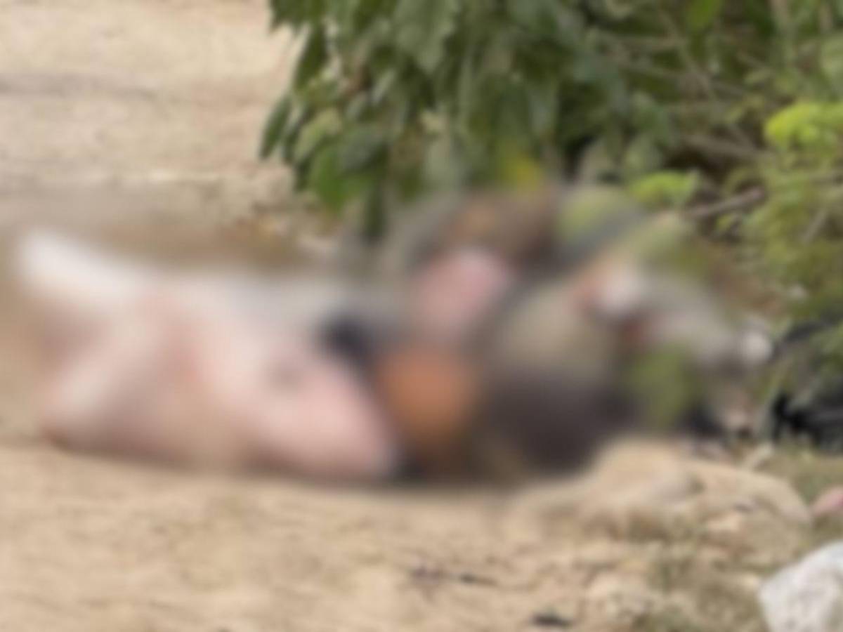 Carlos y José, amigos encontrados amarrados y encostalados en San Pedro Sula