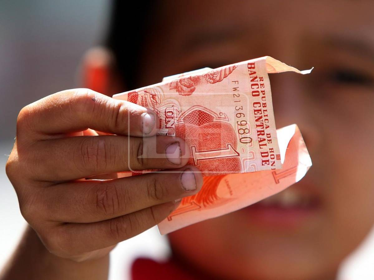 4 de cada 10 menores que trabajan tienen entre 5 y 9 años: las crudas cifras del trabajo infantil en Honduras