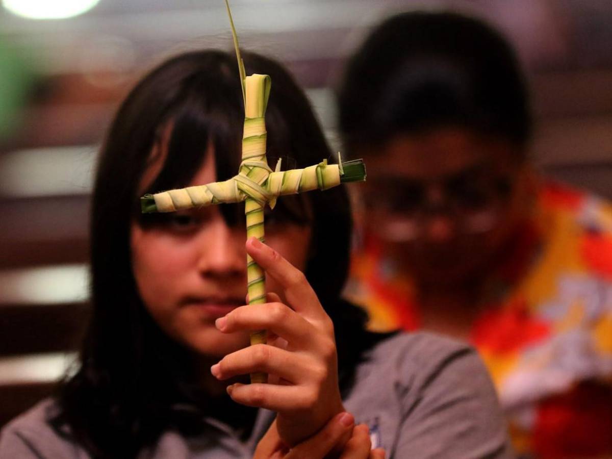 Palmas de olivo anuncian llegada de Semana Santa en la capital Palmas de olivo anuncian llegada de Semana Santa en la capital