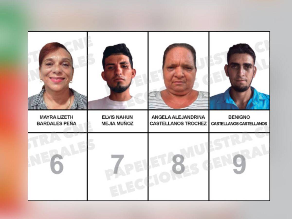 ¿Quiénes son los 45 candidatos a diputados que integran la papeleta por Santa Bárbara?