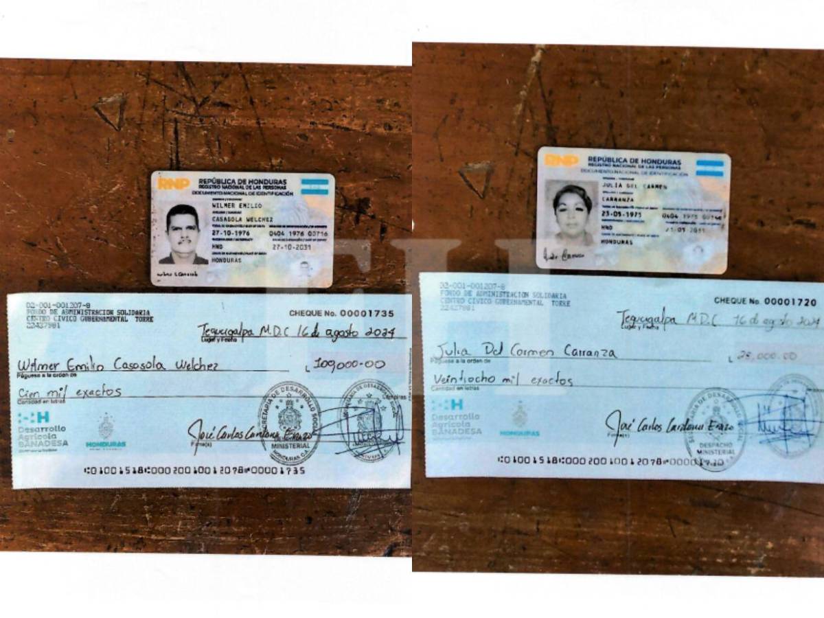 Pidieron L128 mil a Sedesol para proyectos falsos: caso de Julia y Wilmer, pareja de activistas de Libre