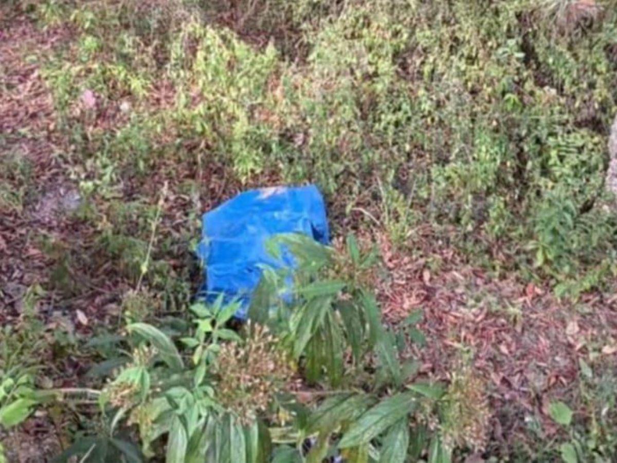 Fue encontrada en estado de putrefacción en un solar: crimen de Dayana Cardosa en Copán