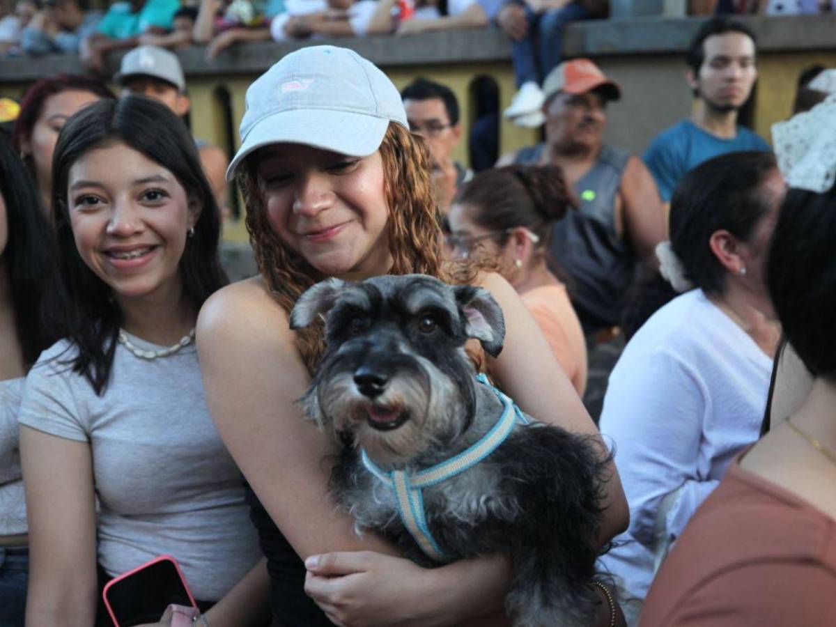 Así se desarrolló la solemne procesión del Santo Entierro en la capital