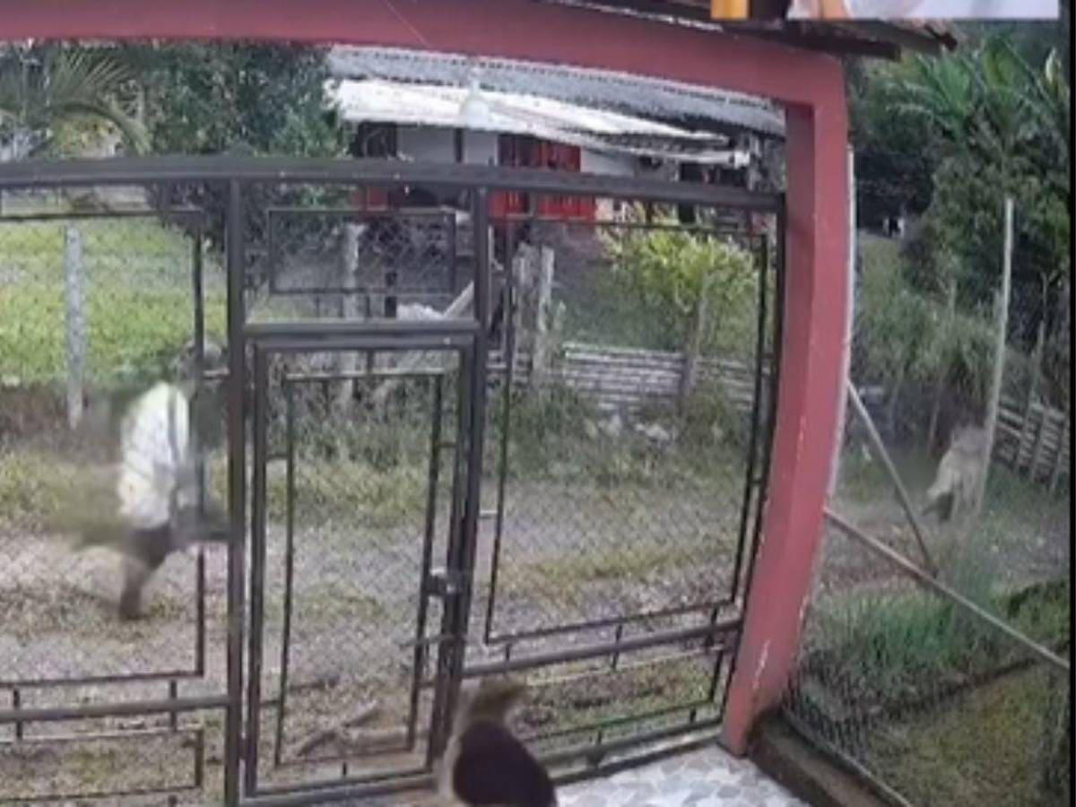 Fue poseído por el diablo: Pastor que abusó de su hijastra es defendido por sus seguidores