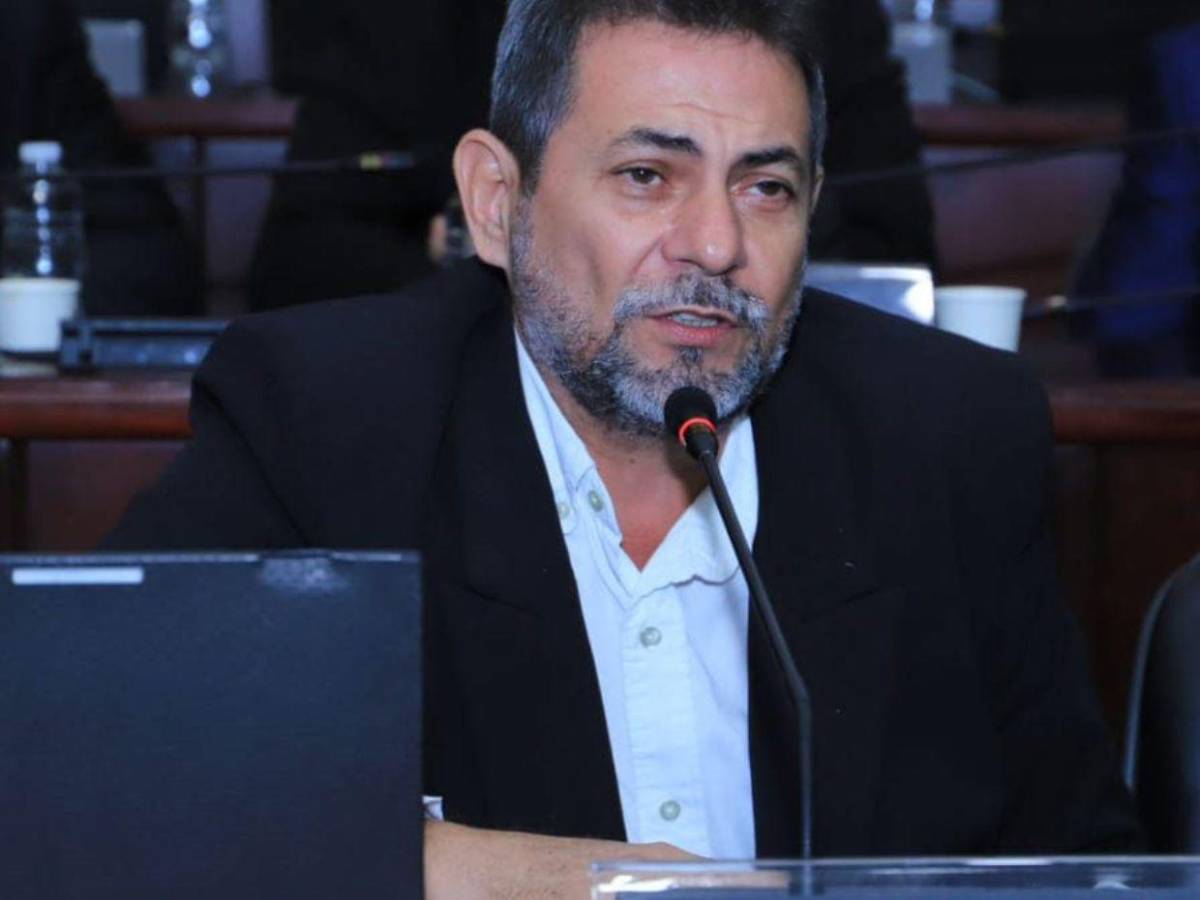 Iroshka, Tomás y hasta Godofredo: candidatos a diputados que estarían quedando en el CN