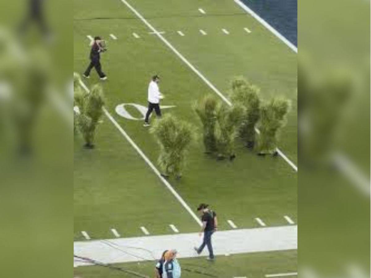 ¿Cuánto ganaron los arbustos que acompañaron a Bad Bunny en el Super Bowl?