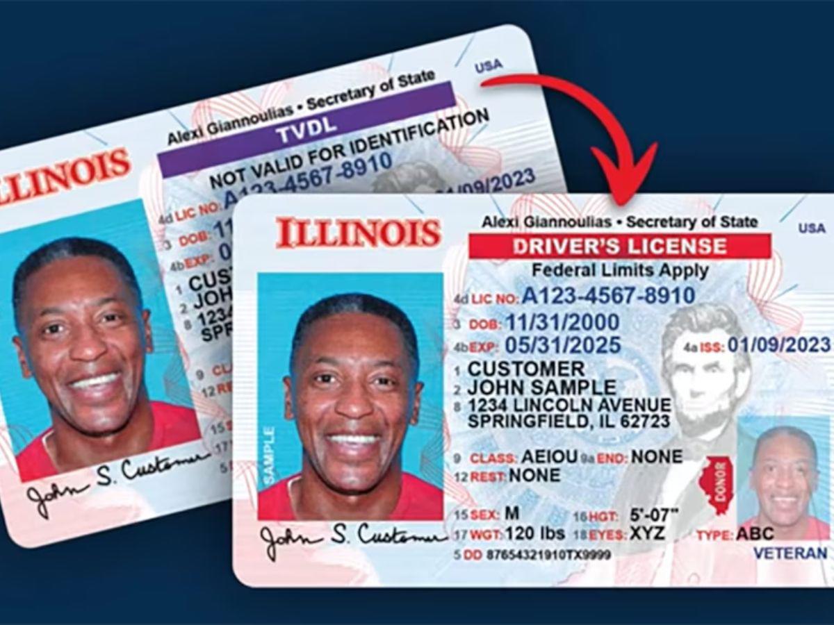 Inmigrantes indocumentados pueden manejar legalmente en este estado, aquí los requisitos