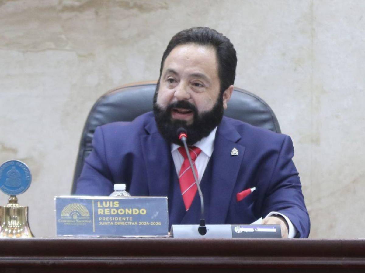 Diputados con más de una década en el Congreso Nacional que buscan reelegirse