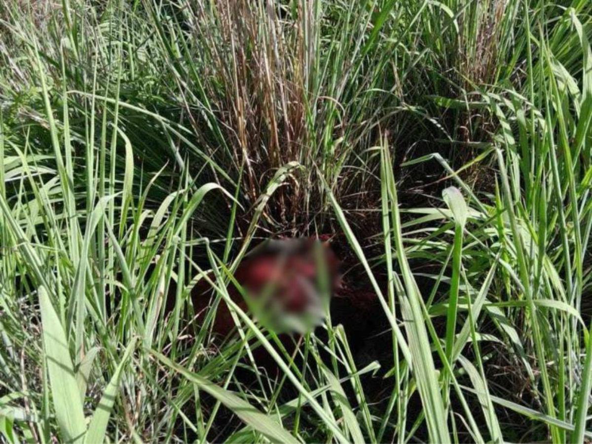 Hallan más extremidades donde encontraron el cuerpo desmembrado de Olvin Aguilera