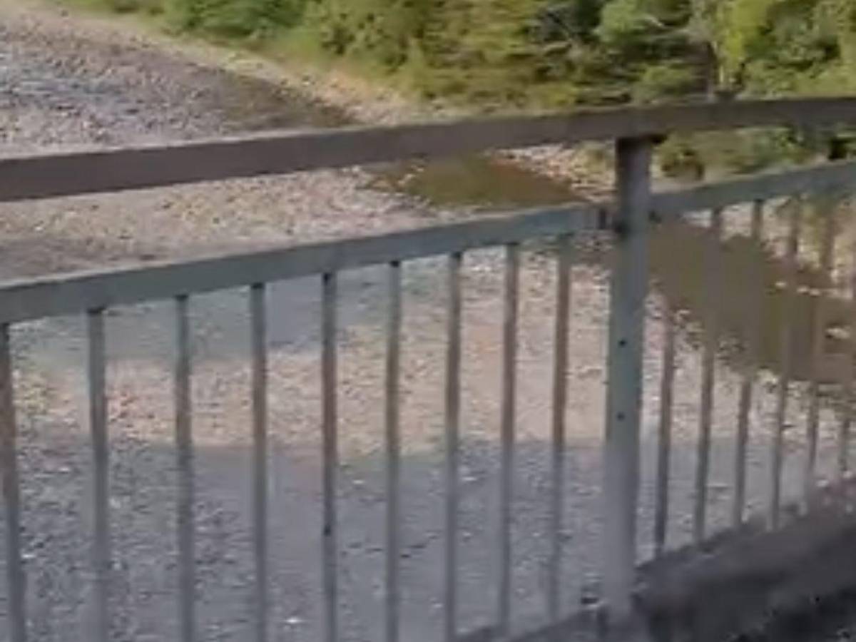 Por esquivar un perro: Camión queda al filo de puente y deja conductor herido en La Ceiba