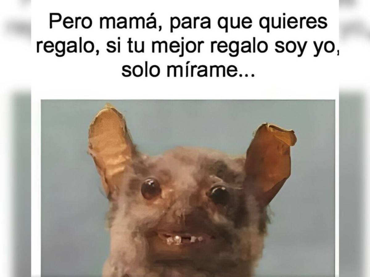 ¡Imperdibles! Los mejores memes del Día de la Madre