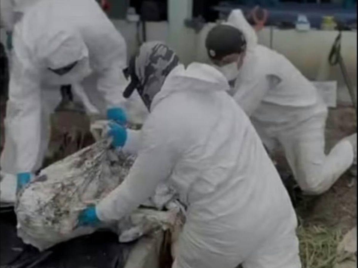 Localizan 32 cuerpos en fosa clandestina en Guanajuato, México