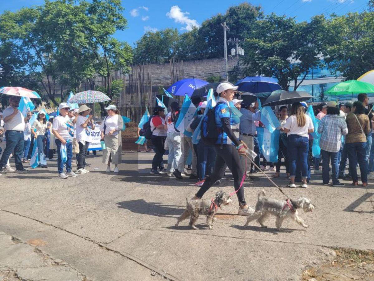 Lo que no se vio de la caminata de las iglesias en la capital