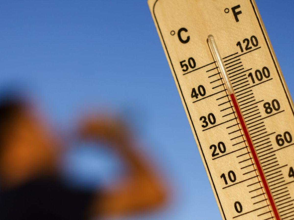 Hay una “alta probabilidad” que 2024 sea el año más cálido de la historia, alerta la ONU