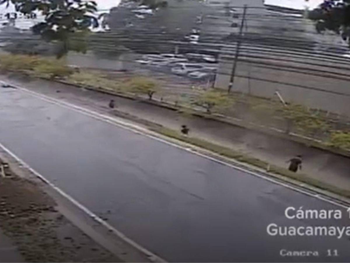 Cuadro a cuadro: cámaras captaron a Elvis Eliú Bautista jugando en la quebrada La Primavera