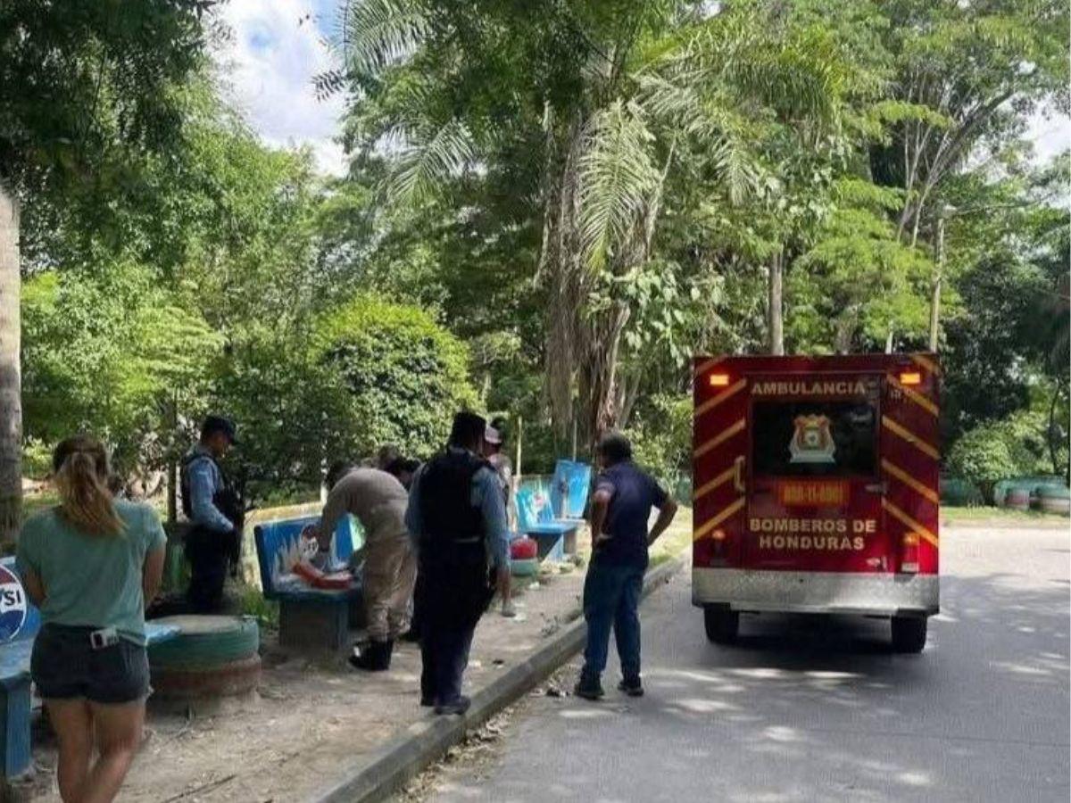 Lo abandonaron en una banca: rescatan a bebé con el cordón umbilical en Choloma